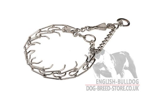 Bulldog Collar for Behavior Correction, Martingale Style - Click Image to Close