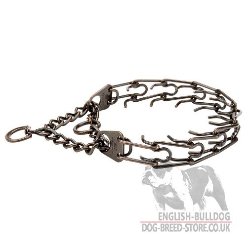 Bulldog Collar with Prongs, Steel with Antique Copper Plating - Click Image to Close