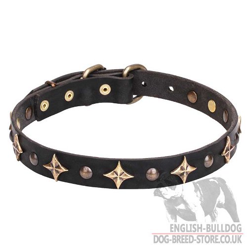 "Galaxy" English Bulldog Leather Dog Collar Bronze-Like Stars