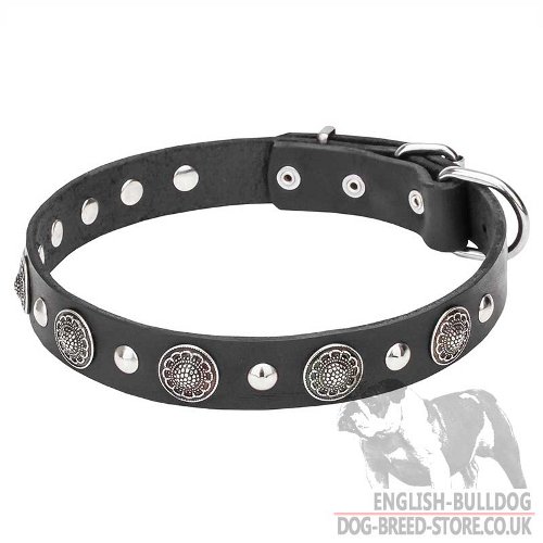 Beglamour Your English Bulldog with Charming Leather Dog Collar - Click Image to Close