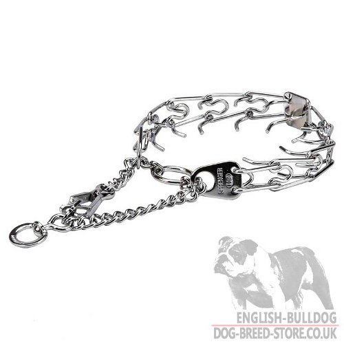 Martingale Prong Collar with Snap Hook and Swivel for Bulldog