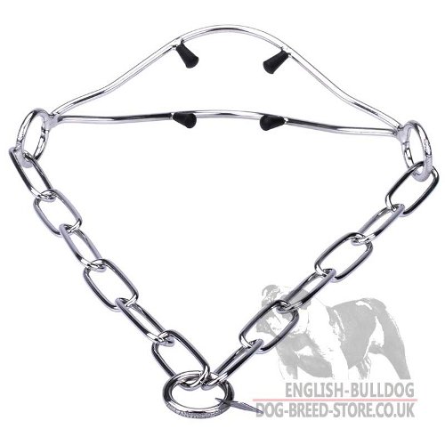 English Bulldog Collar for Shows with Caps to Correct Posture