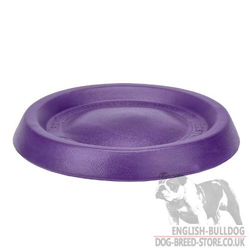 Medium Sized Dog Frisbee Disc for Bulldog Training and Games