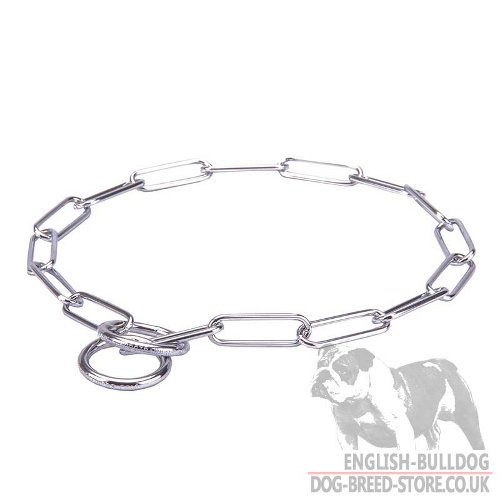 "Impressive Look" Fur Saver Collar with Large Links for Bulldog