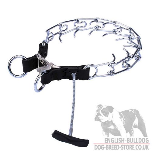 Innovative Pinch Collar with Metal Handle for Bulldog Obedience