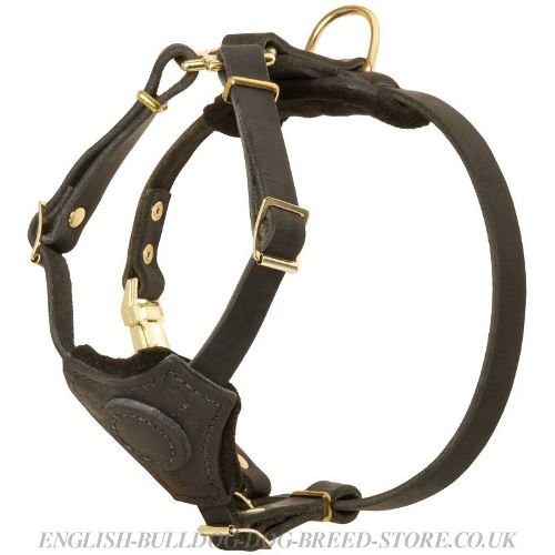 Bulldog Puppy Harness of Soft Leather for Safe Everyday Walking - Click Image to Close