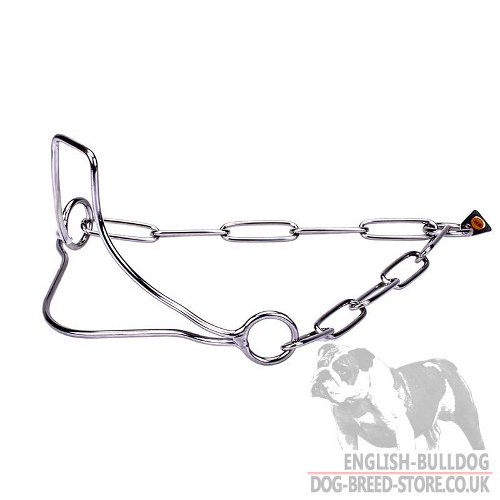 Strive for Victory with Dog Show Collar Fur Saver for Bulldog!
