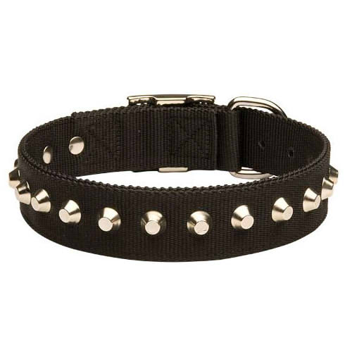 Nylon Dog Collar Decorated with Pyramids for English Bulldog - Click Image to Close