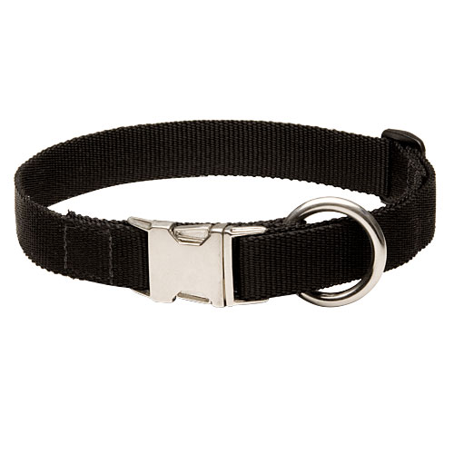 Adjustable Nylon Dog Collar with Solid Metal Buckle for Bulldog - Click Image to Close