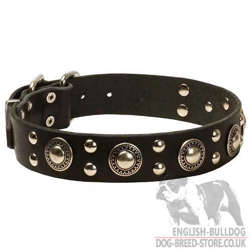 Cool New Dog Collar "Silver Knights" for English Bulldog