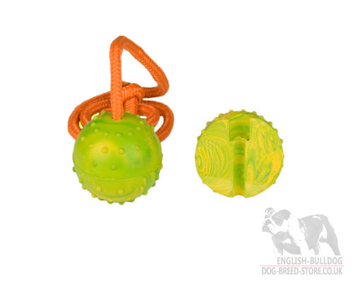 Rubber Dog Ball on Rope for English Bulldog, Best Toy