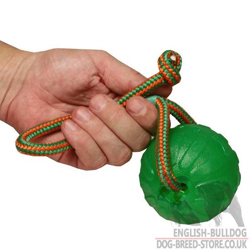 Dog Ball Chew Toy of Special Rubber on Rope for Bulldog