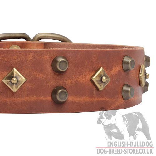 English Bulldog Top Fashion Dog Collar Brass Stars and Cones