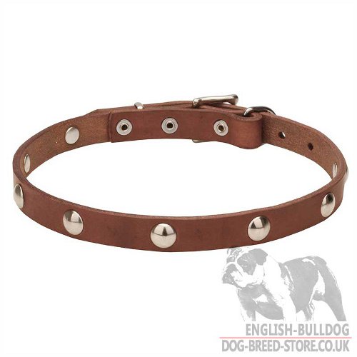 English Bulldog Collar Necklace with Shiny Chrome Plated Studs