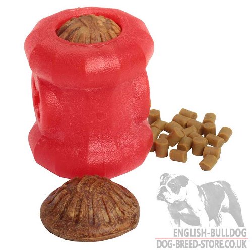 Dog Toy Puzzle Treats of Medium Size for English Bulldog Chewing