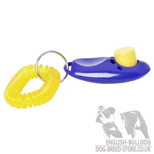 Make Your Bulldog Training Quick and Stressless with Dog Clicker