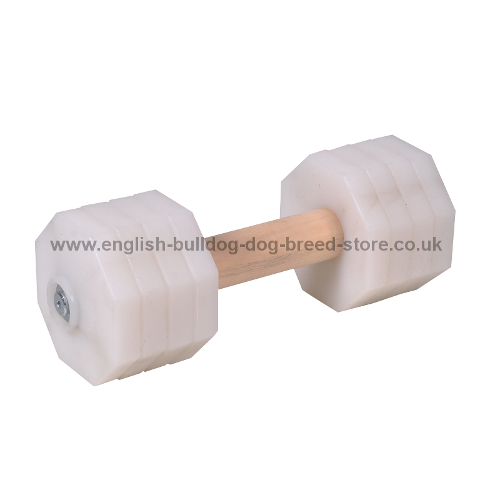 Dog Training Dumbbell of 1.4 lbs, White Plastic Plates