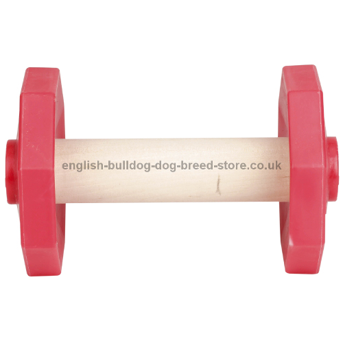 Dog Training Dumbbell with Red Weight Plates, 1.4 lbs