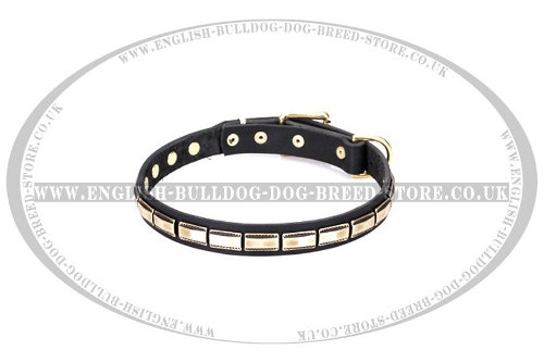 English Bulldog Collar Leather FDT Artisan "Wealth Effulgence" - Click Image to Close