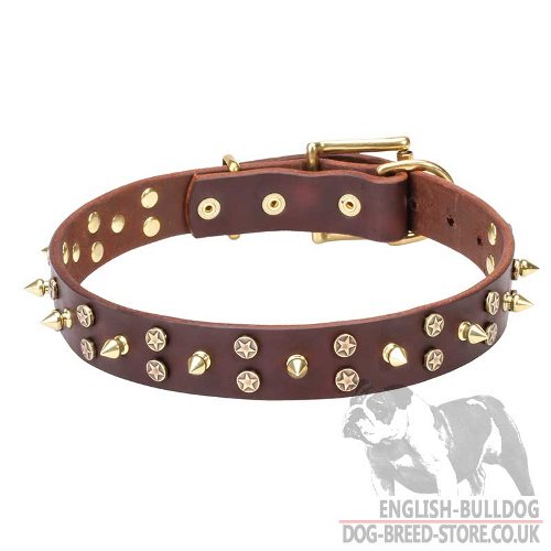 English Bulldog Collar Wide Leather with Brass Stars and Spikes