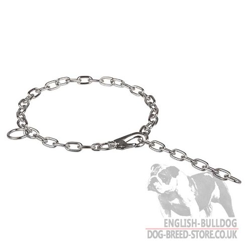 English Bulldog Collar Adjustable Chain Fur Saver with Snap Hook