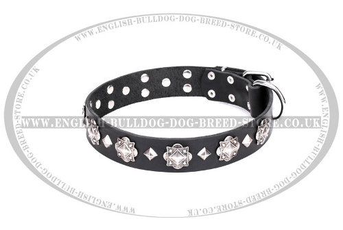 English Bulldog Collar Leather "Code of Chivalry" by FDT Artisan - Click Image to Close