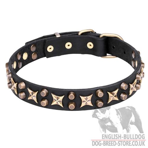 English Bulldog Collar with Awesome Stars and Cones