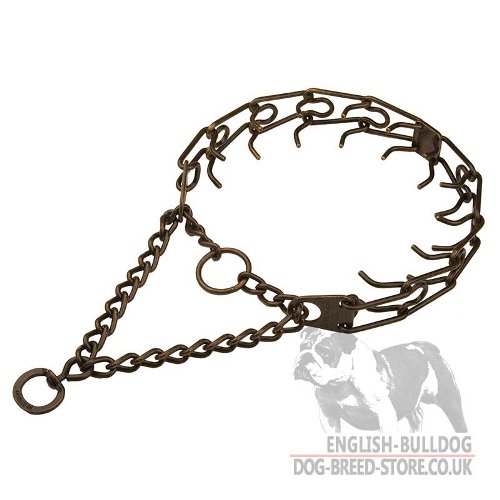 English Bulldog Collar with Antique Copper Plated Steel Prongs