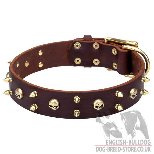 Showy Rock Dog Collar with Brass Skulls and Spikes for Bulldog
