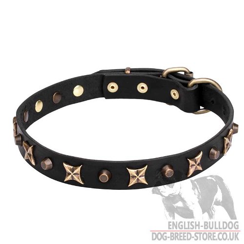 English Bulldog Collar with Old Bronze-Plated Stars and Pyramids - Click Image to Close