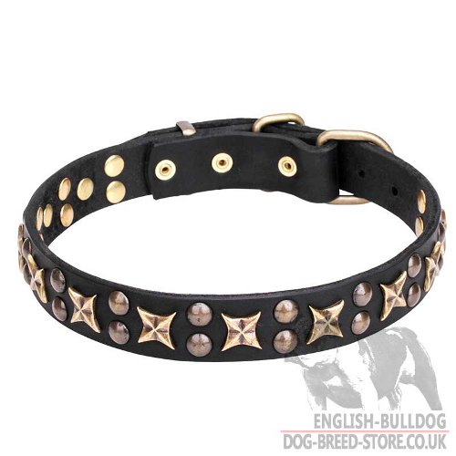 "The Empyrean" Shining Leather Dog Collar for English Bulldog