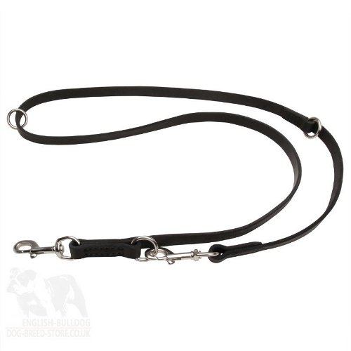 English Bulldog Leash of Leather and Stainless Steel, Functional