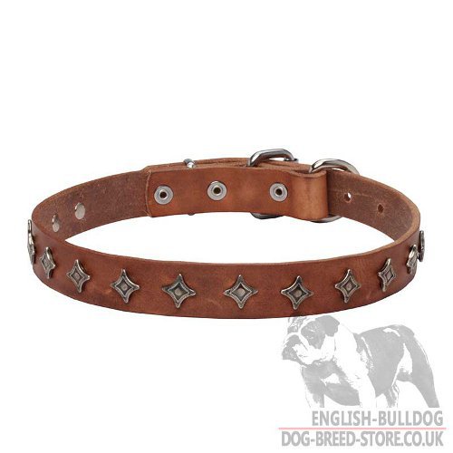 "Polar Star" Narrow Leather Dog Collar for English Bulldog
