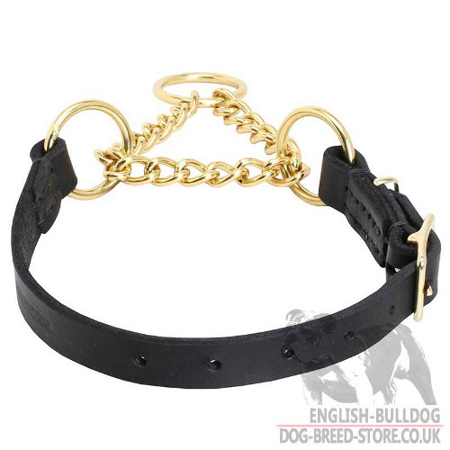 Soft Leather Martingale Dog Collar with Brass Chain for Bulldog