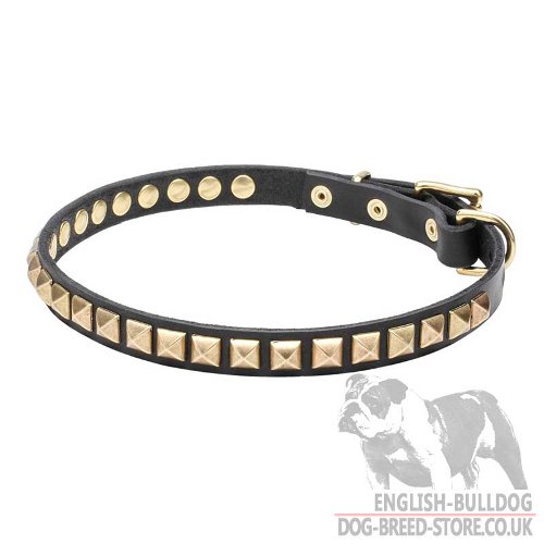 Necklace Dog Collar Sparkling Brass Studs for English Bulldog