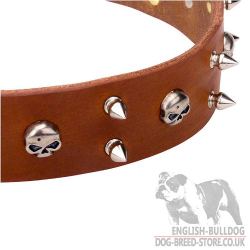 English Bulldog Rock Star Dog Collar with Spikes and Skulls