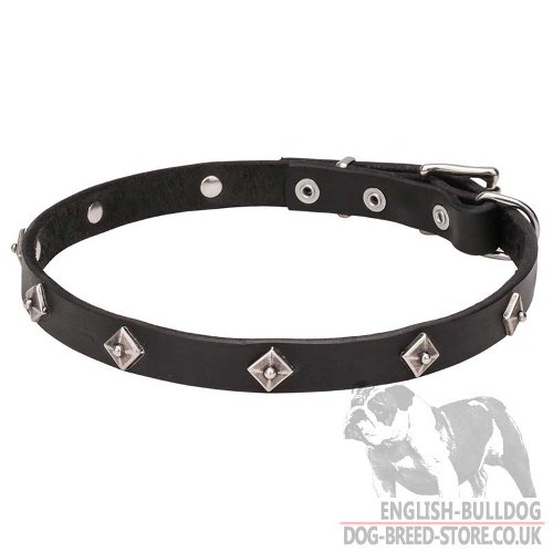 Starlight Narrow Leather Dog Collar for English Bulldog Walking
