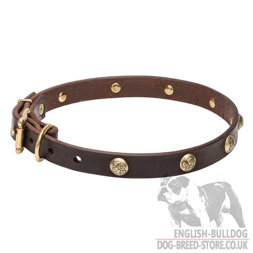 Cute Dog Collar Embossed Studs Flowers and Leaves for Bulldog