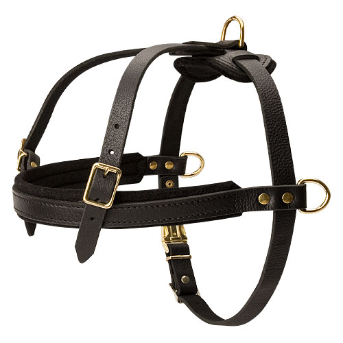 Leather Dog Harness for English Bulldog, Best for Pulling Work - Click Image to Close