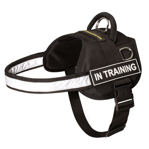 Reflective Dog Harness of Nylon with Patches for English Bulldog