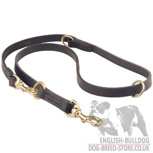 Hands Free Dog Leash of Genuine Leather for Bulldog (20 mm) - Click Image to Close