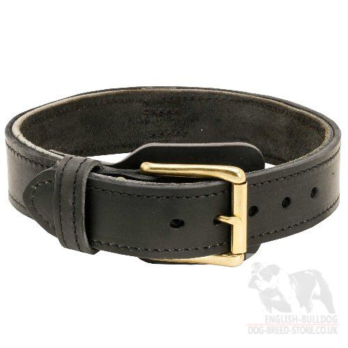 Large Dog Collar of Wide 2-Ply Leather for Bulldogs