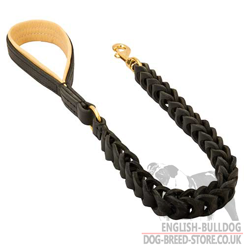 Braided Dog Leash with Nappa Lined Handle for English Bulldog