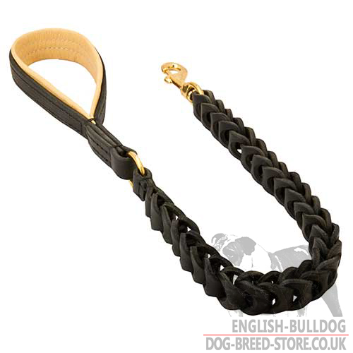 Braided Dog Leash with Nappa Lined Handle for English Bulldog - Click Image to Close