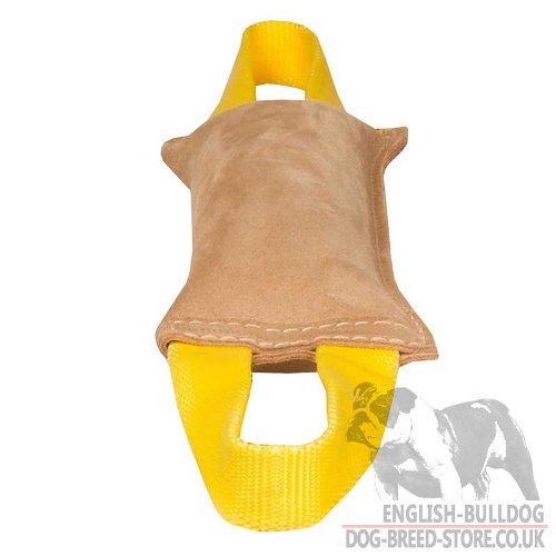 Leather Bite Tug Two Handles for Young Bulldog Training