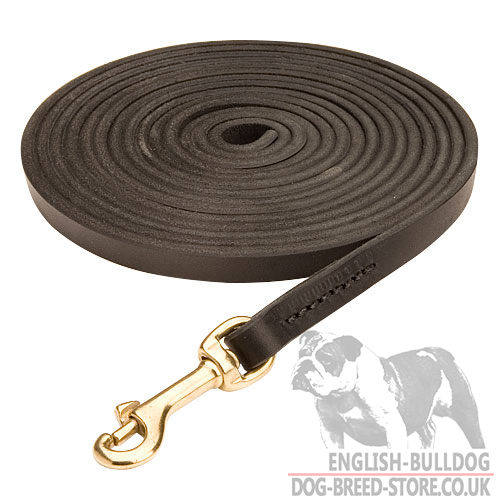 Long Dog Leash for Bulldog Lead Training and Tracking, 10 mm - Click Image to Close