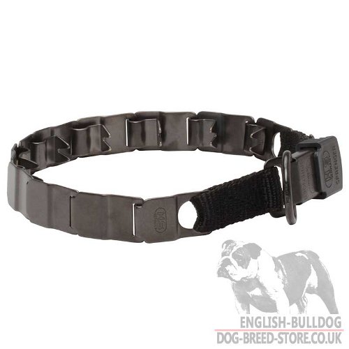 Say "No" to Bulldog's Disobedience with New Neck Tech Dog Collar