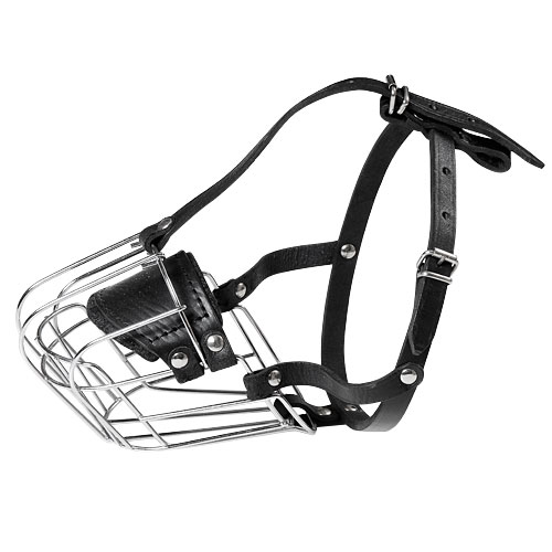 Bestseller! Wire Dog Muzzle for French Bulldog, Perfect for Daily Use