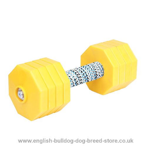 Plastic Dumbbell for Dogs of 2 kg Removable Plates, Yellow