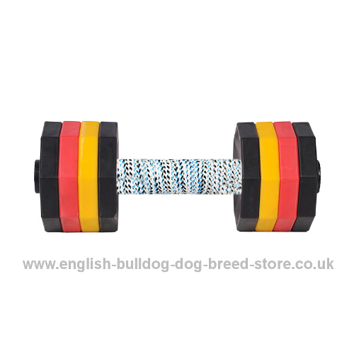Plastic Dumbbell for Dogs with French Linen Covered Plank